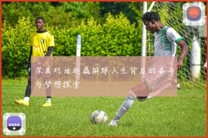 深度对话赵磊排球人生背后的奋斗与梦想探索