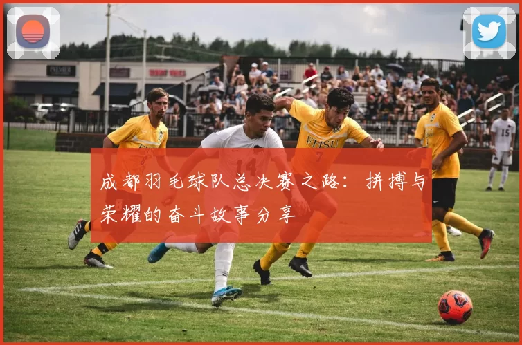 成都羽毛球队总决赛之路：拼搏与荣耀的奋斗故事分享