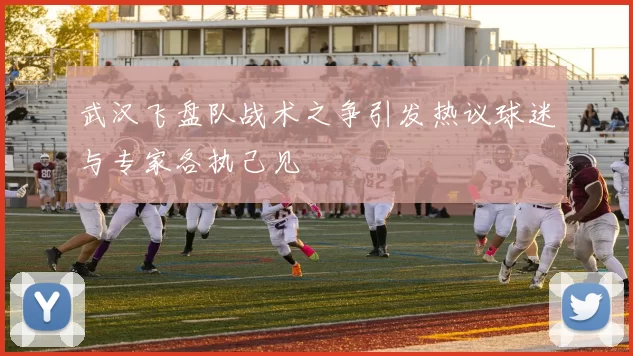 武汉飞盘队战术之争引发热议球迷与专家各执己见