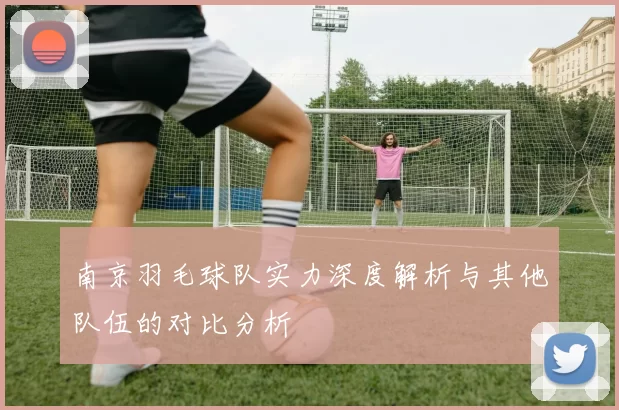 南京羽毛球队实力深度解析与其他队伍的对比分析