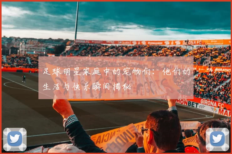 足球明星家庭中的宠物们：他们的生活与快乐瞬间揭秘
