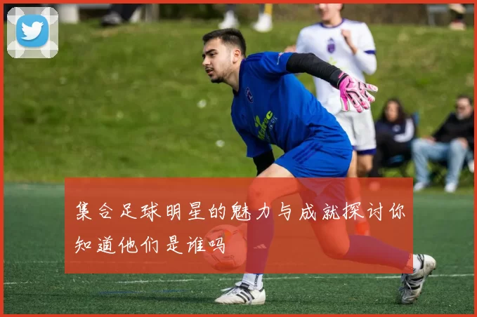集合足球明星的魅力与成就探讨你知道他们是谁吗