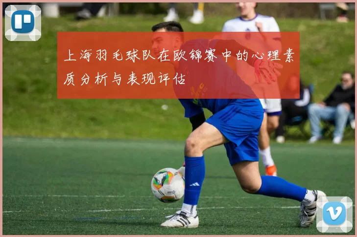 上海羽毛球队在欧锦赛中的心理素质分析与表现评估