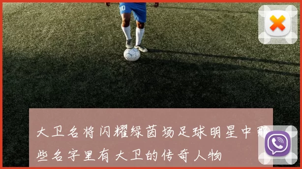 大卫名将闪耀绿茵场足球明星中那些名字里有大卫的传奇人物