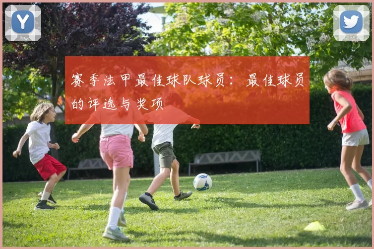 赛季法甲最佳球队球员：最佳球员的评选与奖项