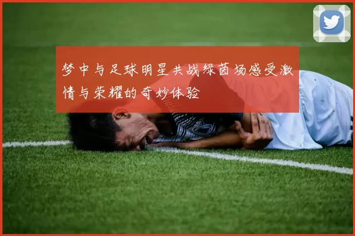 梦中与足球明星共战绿茵场感受激情与荣耀的奇妙体验