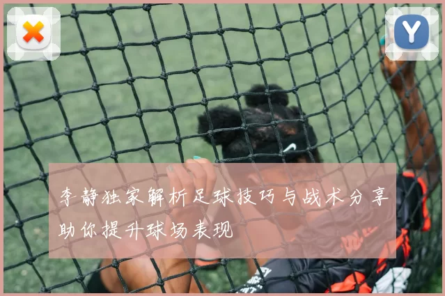 李静独家解析足球技巧与战术分享助你提升球场表现