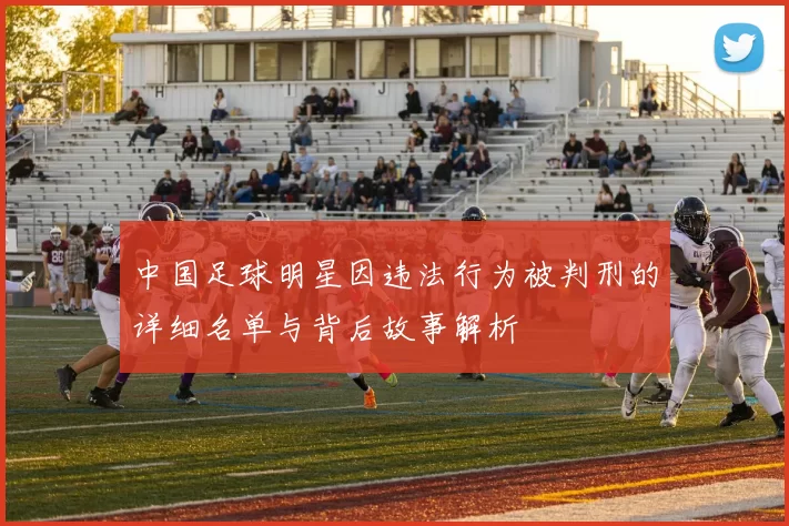 中国足球明星因违法行为被判刑的详细名单与背后故事解析