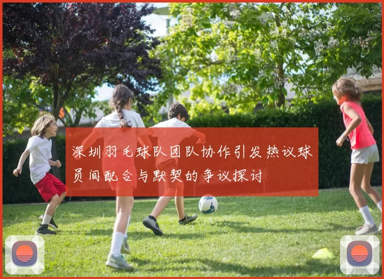 深圳羽毛球队团队协作引发热议球员间配合与默契的争议探讨