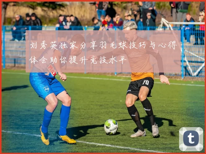 刘秀英独家分享羽毛球技巧与心得体会助你提升竞技水平