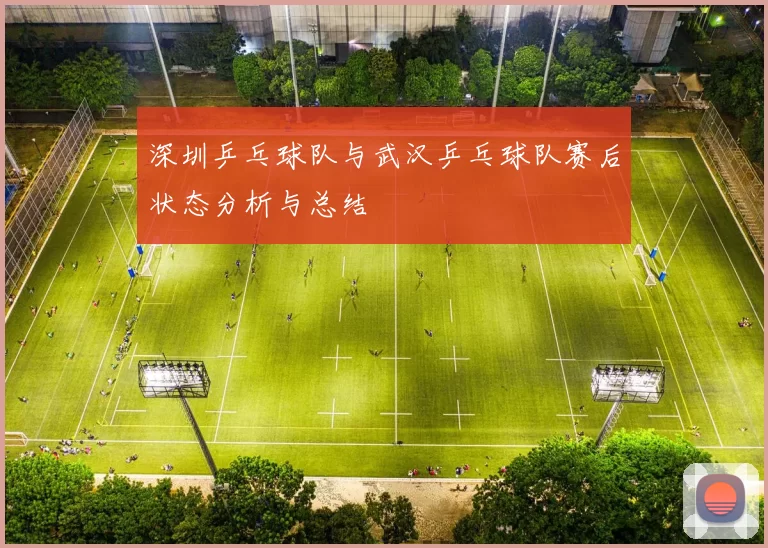 深圳乒乓球队与武汉乒乓球队赛后状态分析与总结
