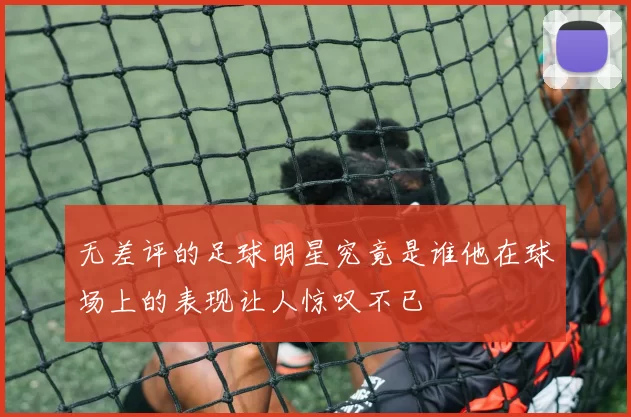 无差评的足球明星究竟是谁他在球场上的表现让人惊叹不已