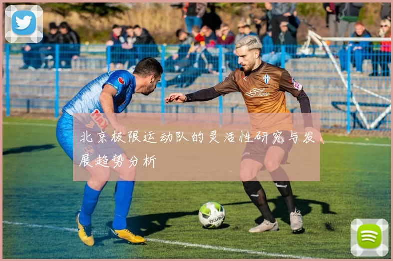 北京极限运动队的灵活性研究与发展趋势分析