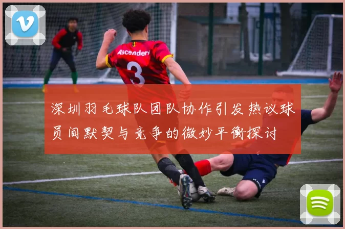 深圳羽毛球队团队协作引发热议球员间默契与竞争的微妙平衡探讨