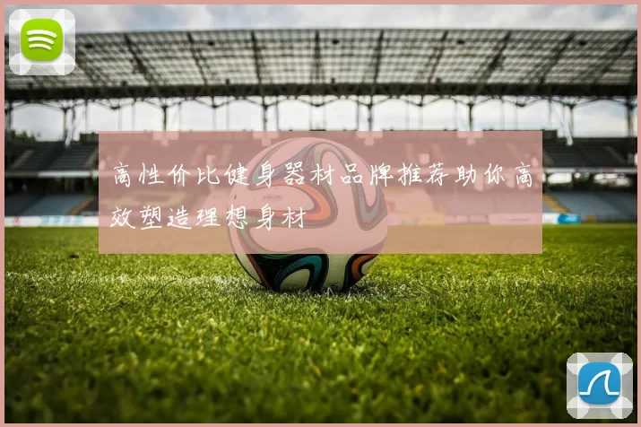 高性价比健身器材品牌推荐助你高效塑造理想身材