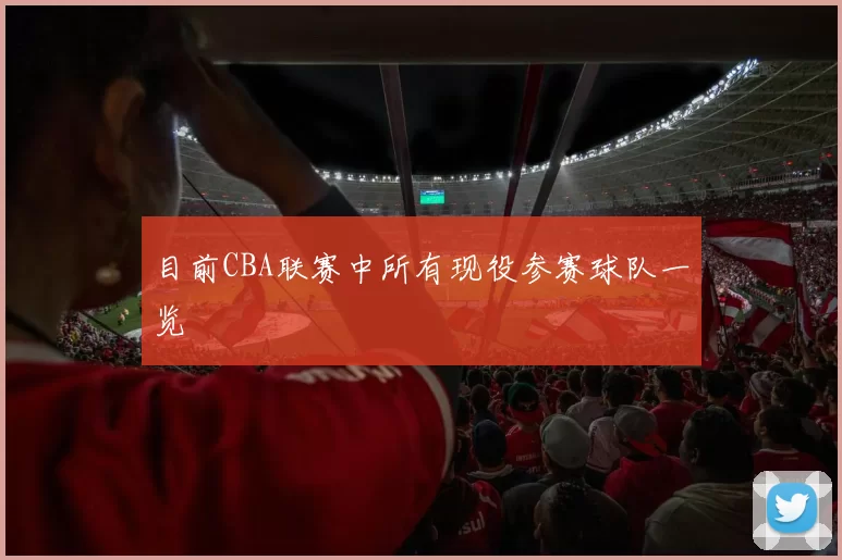 目前CBA联赛中所有现役参赛球队一览