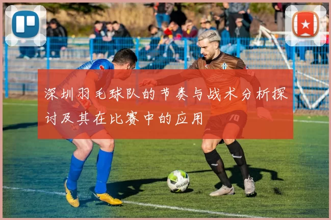 深圳羽毛球队的节奏与战术分析探讨及其在比赛中的应用