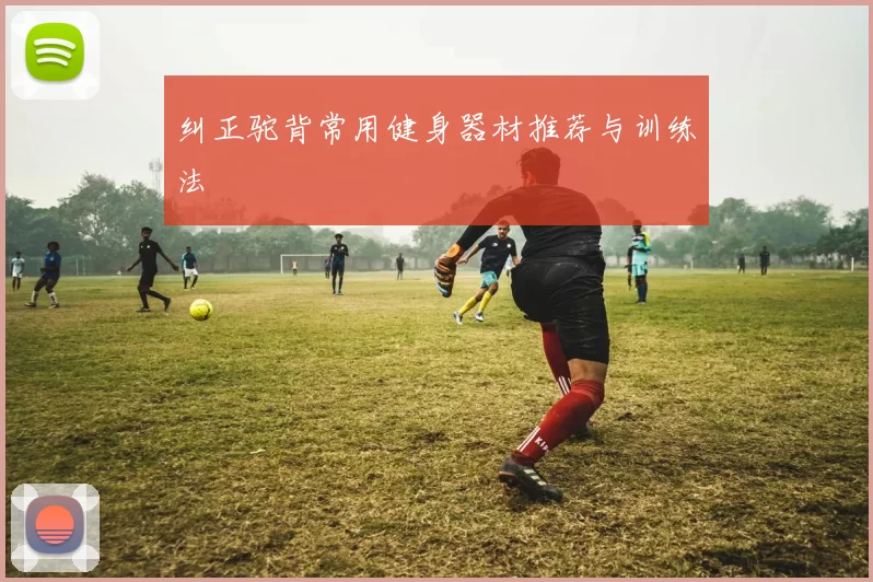 纠正驼背常用健身器材推荐与训练法