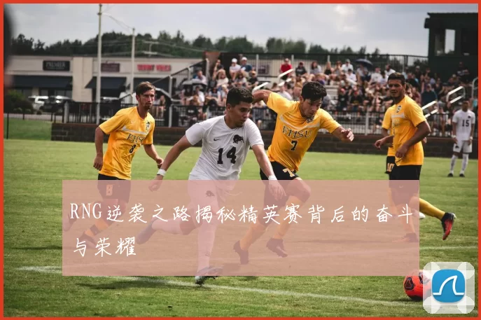 RNG逆袭之路揭秘精英赛背后的奋斗与荣耀