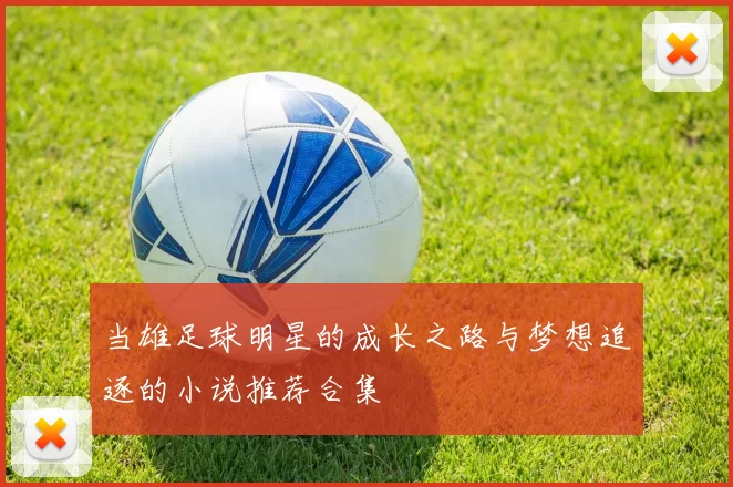 当雄足球明星的成长之路与梦想追逐的小说推荐合集