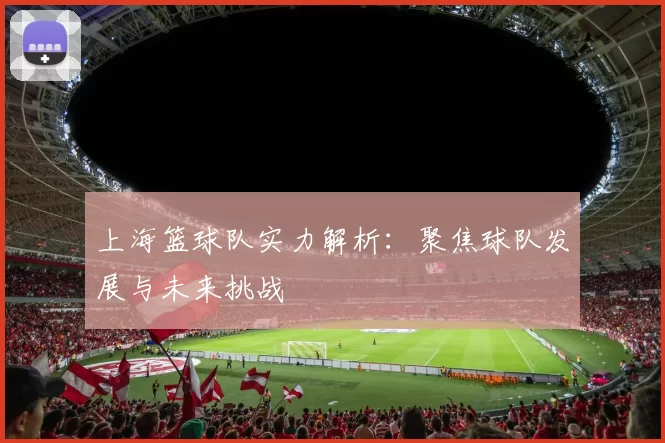 上海篮球队实力解析：聚焦球队发展与未来挑战