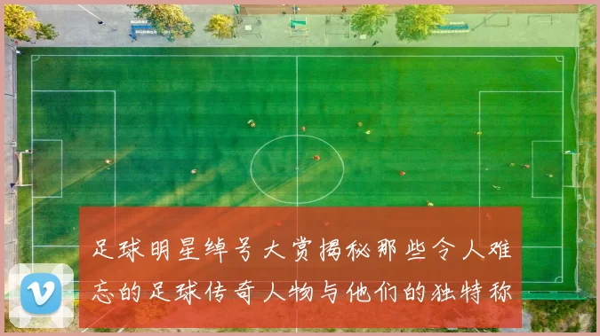 足球明星绰号大赏揭秘那些令人难忘的足球传奇人物与他们的独特称号