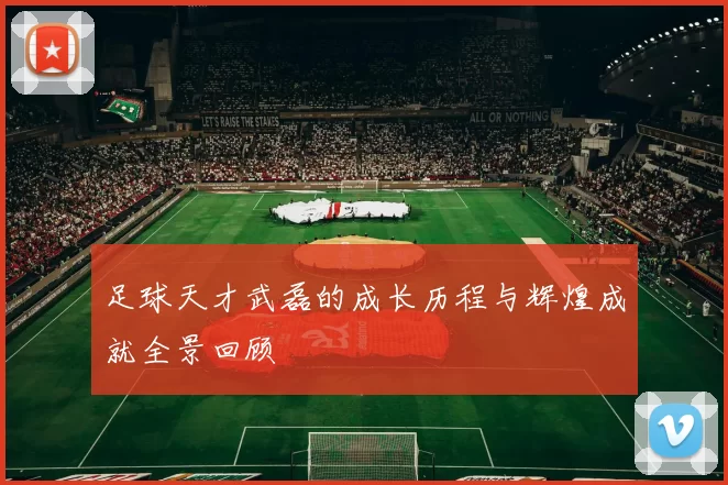 足球天才武磊的成长历程与辉煌成就全景回顾