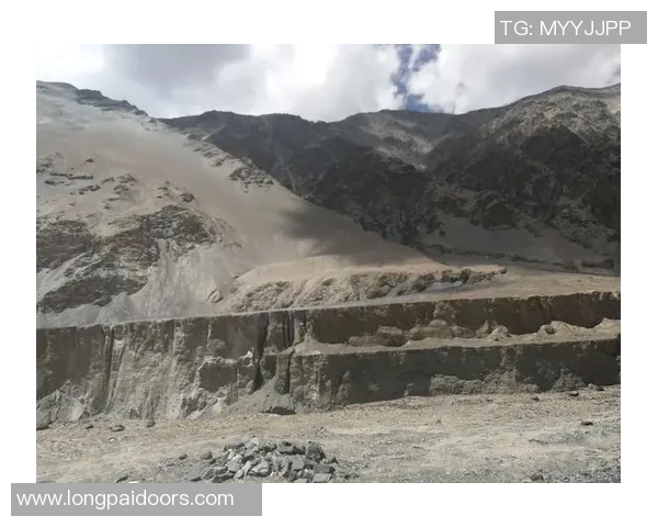 深度对话：陈芳在CSGO世界中的成长与挑战之路